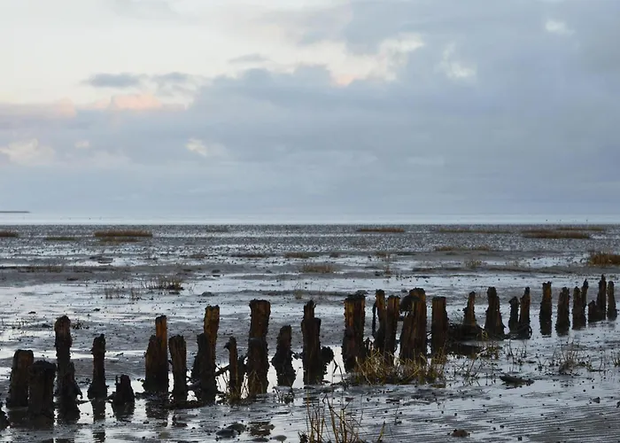 Prázdninový dům 22 With Hot Tub Rømø Kirkeby